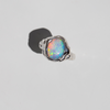 Rainbow Oyster
