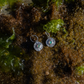 Ripple Earrings